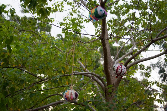 Even the trees did not escape the preparations of the day!